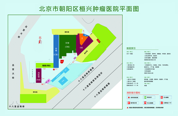 大鸡吧干骚逼97北京市朝阳区桓兴肿瘤医院平面图